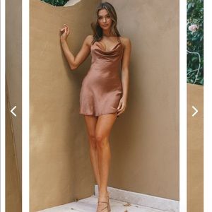 White fox chocolate brown slip